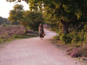 OLYMPUS DIGITAL CAMERA 1 Annette de dos sur chemin panier Golden Hour parfait