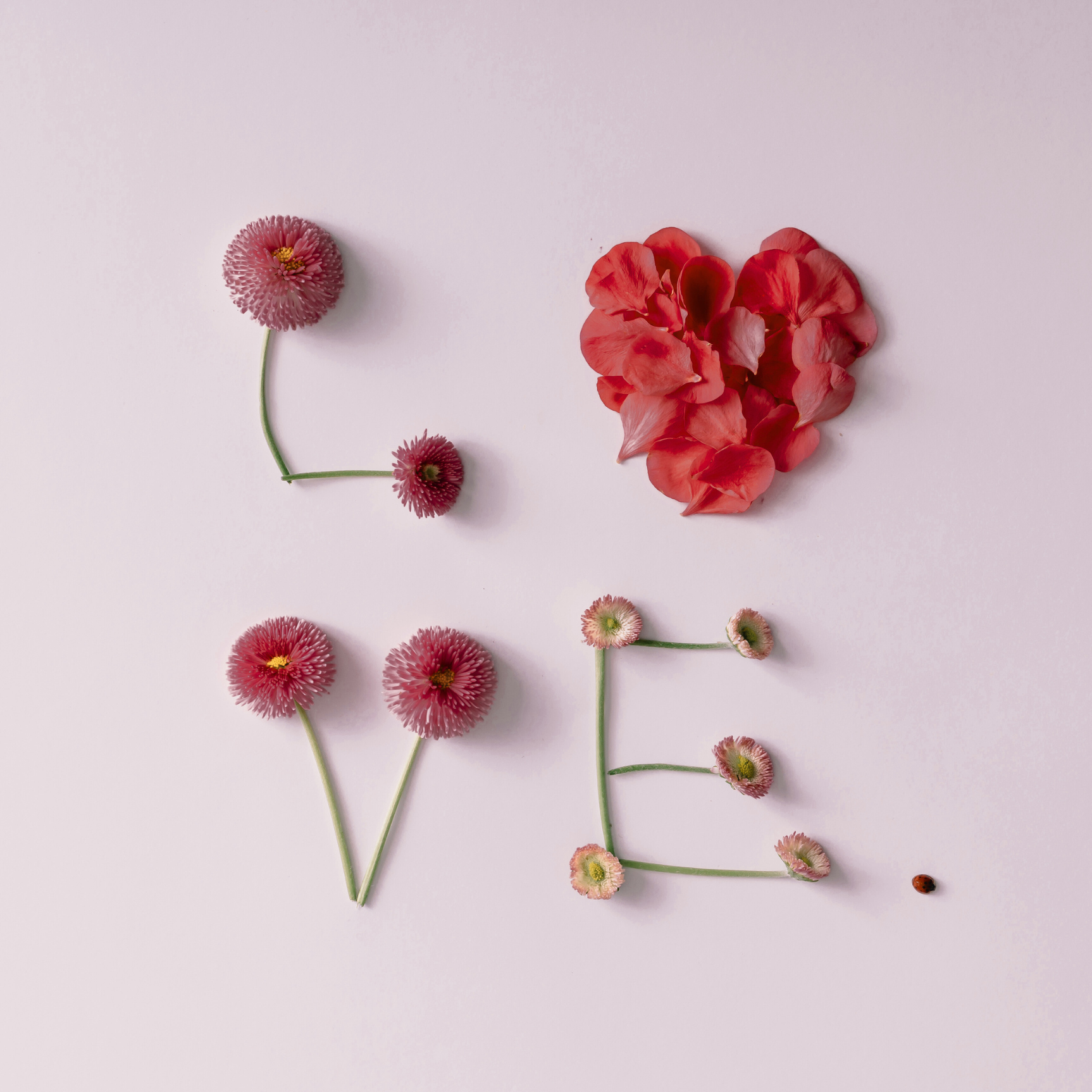 Amour de Soi CoCreattitude avec Annette